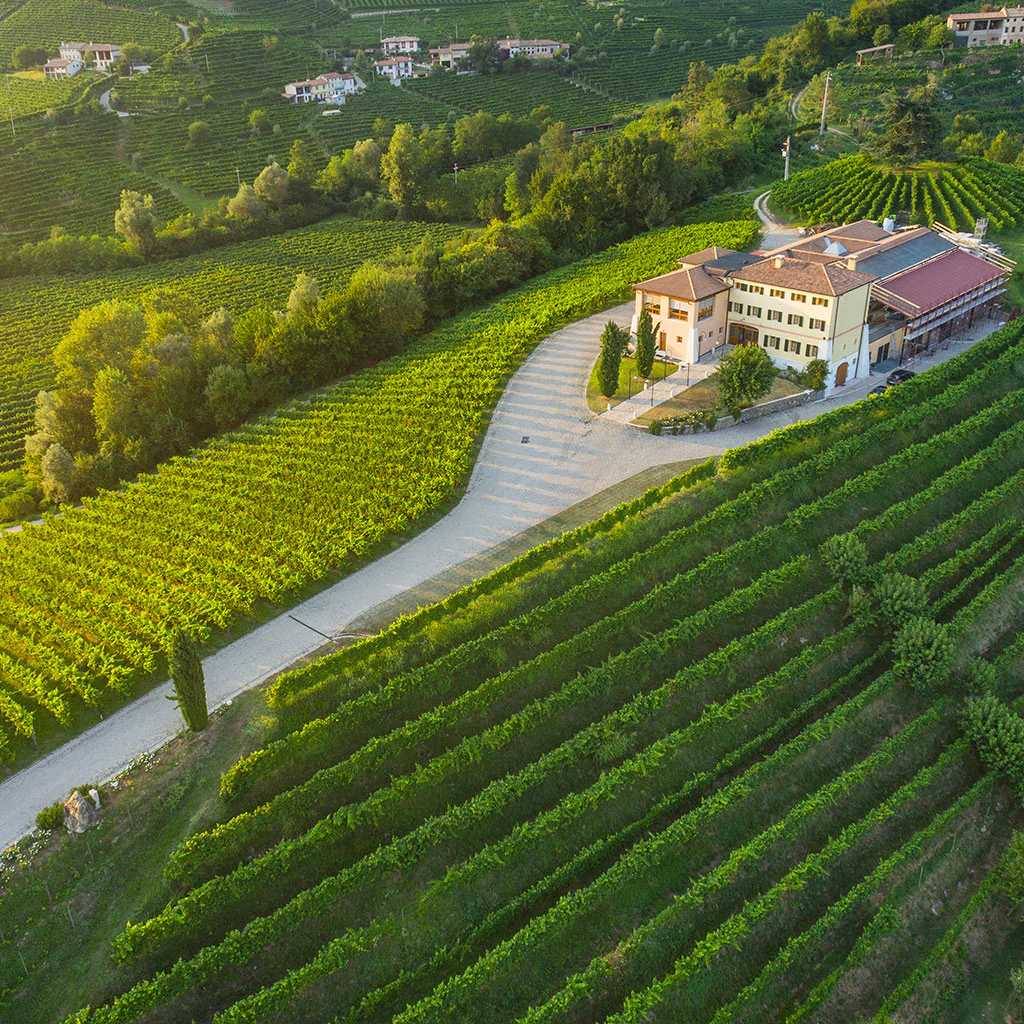 Cantine Canevel