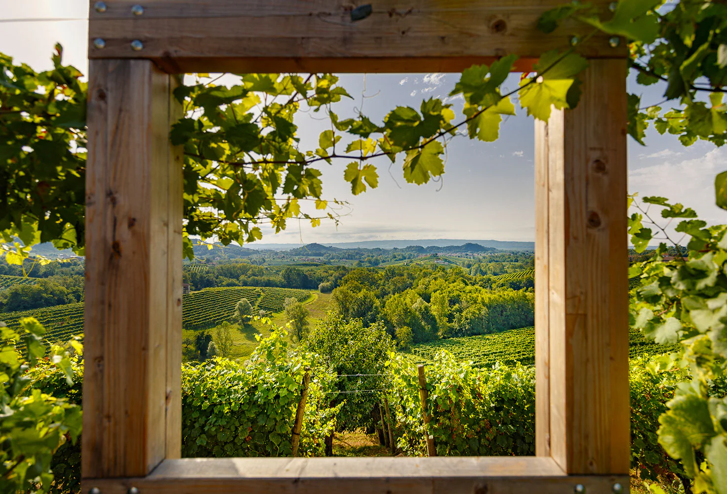 Cantine Canevel - Image 2