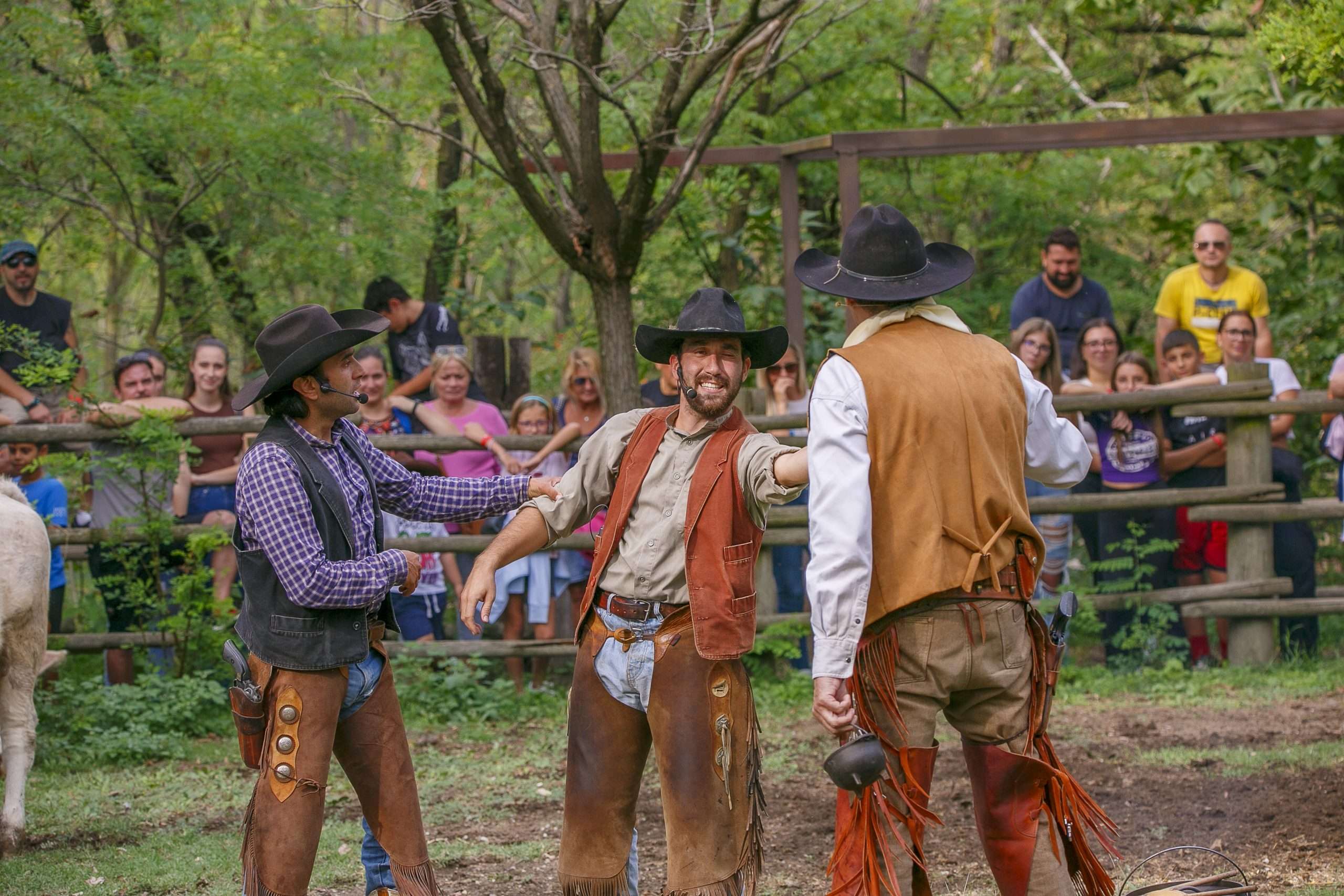 Cowboyland - Image 3