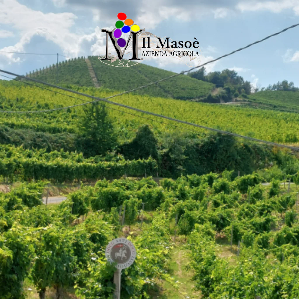 Il Masoè Azienda Agricola