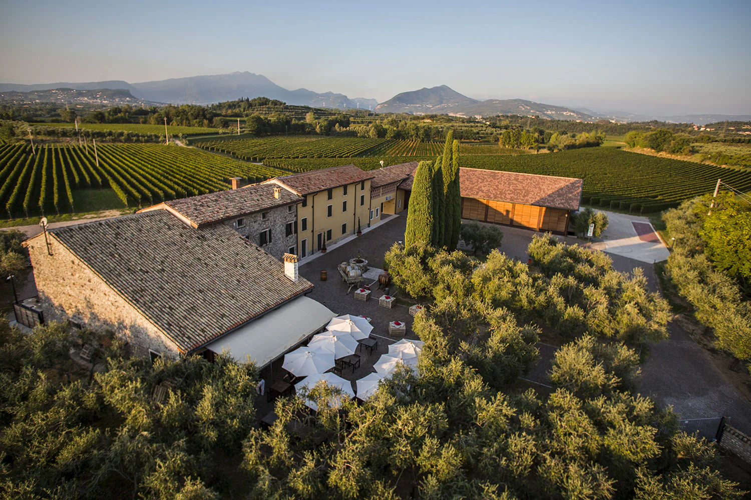 MASI Wine Experience - Image 3