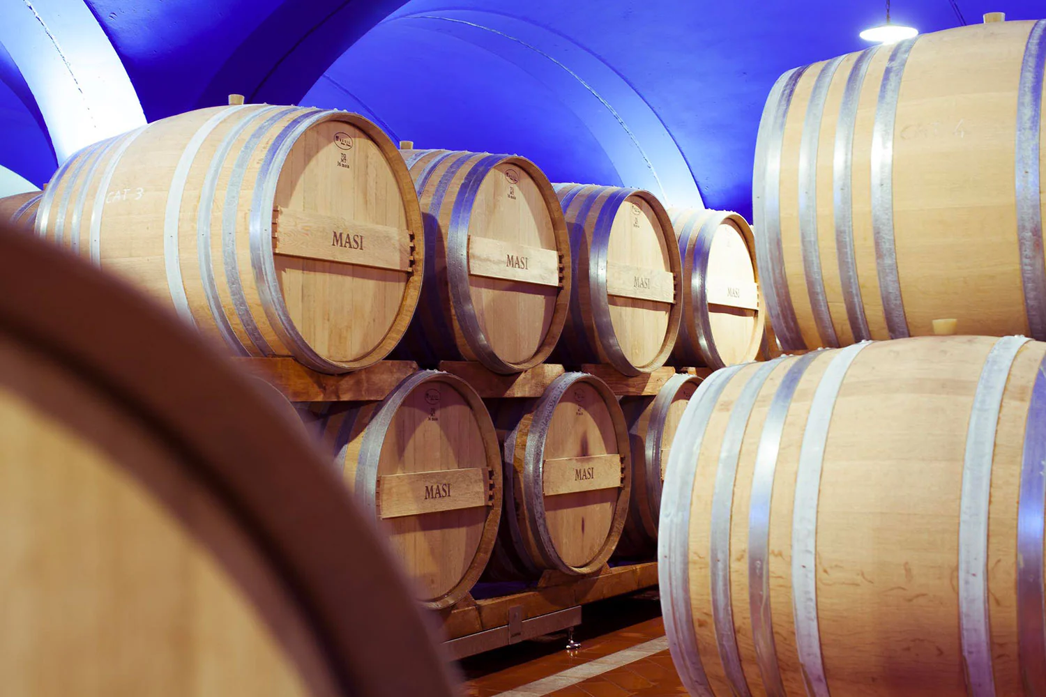 MASI Wine Experience - Image 4
