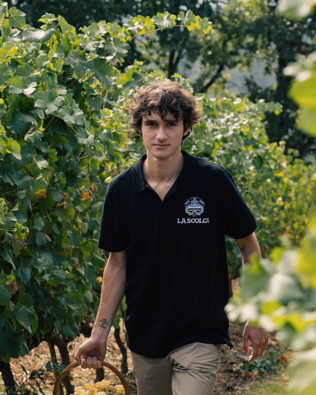 Tenuta La Scolca - Image 4