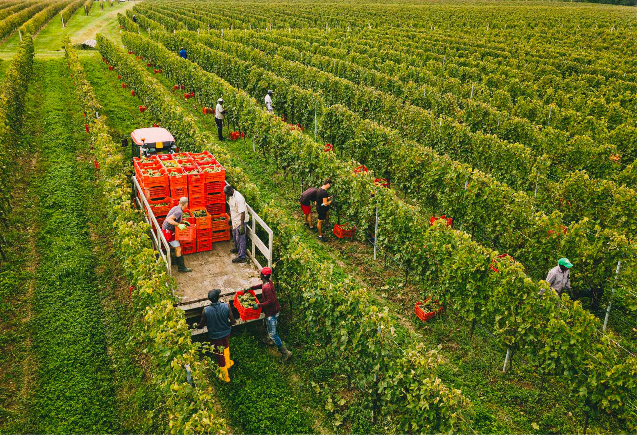 Tenuta Roveglia - Image 3