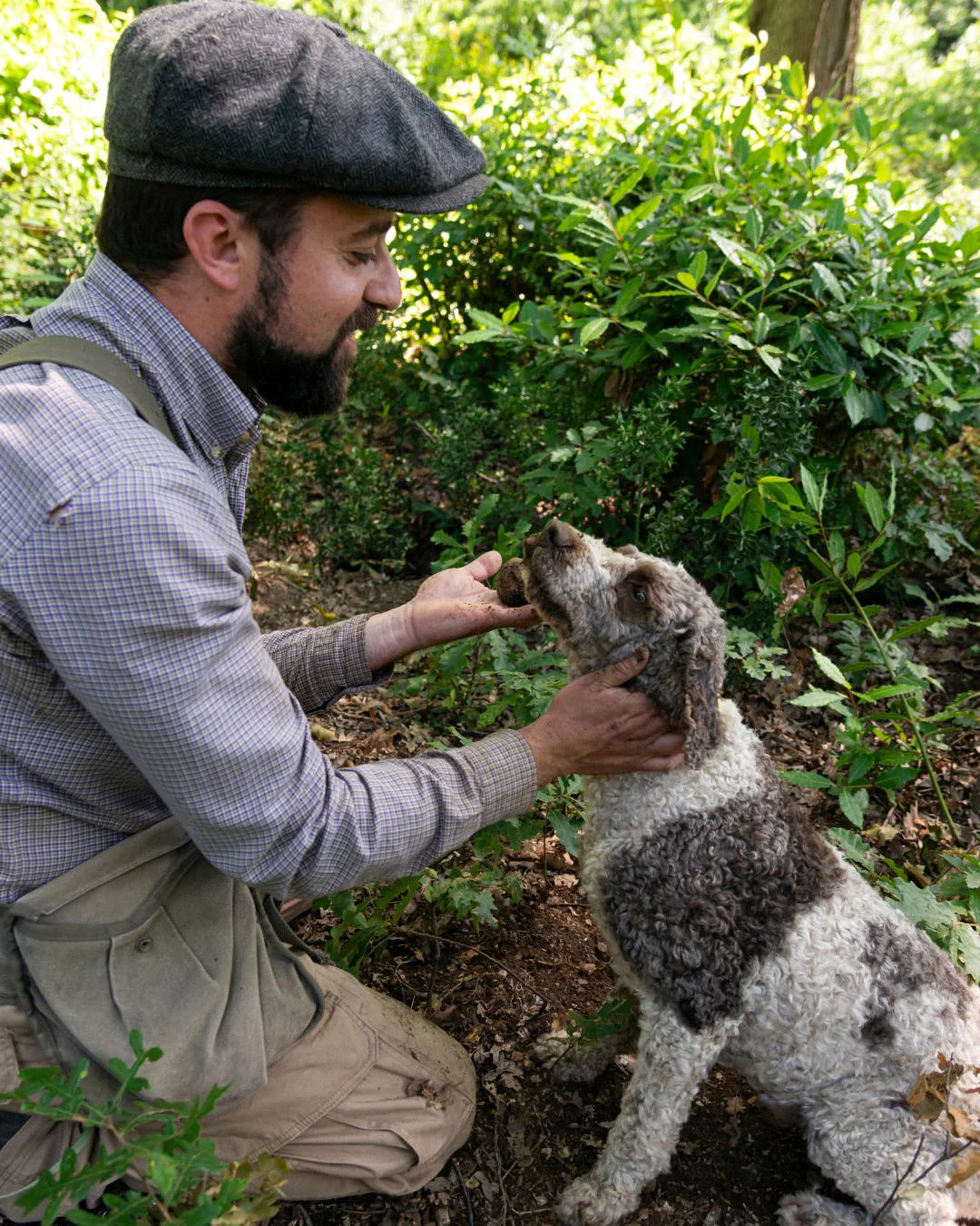Truffle Experience in gruppo - Image 4